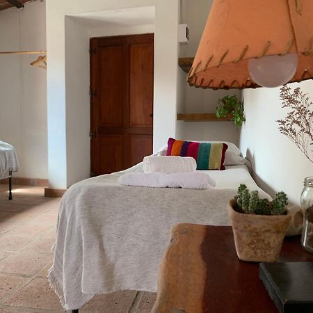 Terra - Casa De Campo Cachí 外观 照片